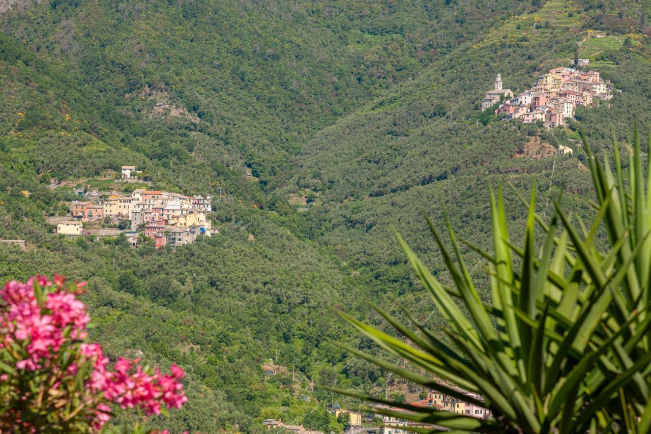 Villa Dell'Erta - Levanto Montale  Екстериор снимка