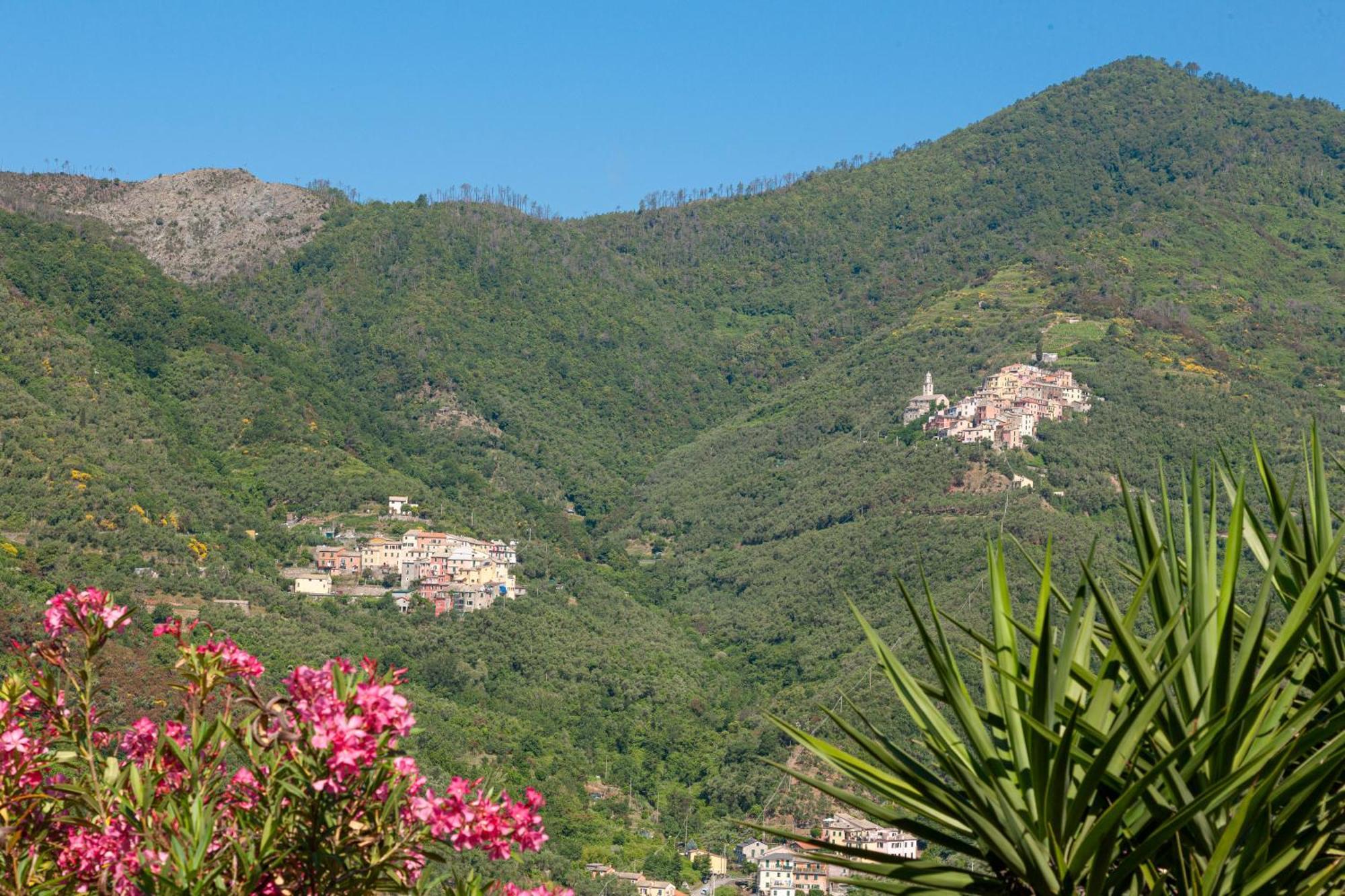 Villa Dell'Erta - Levanto Montale  Екстериор снимка